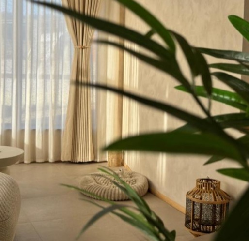 Soft afternoon light at Nagomi